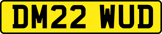 DM22WUD