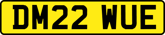 DM22WUE