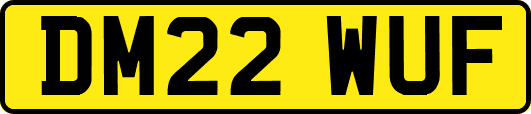 DM22WUF