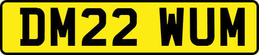 DM22WUM