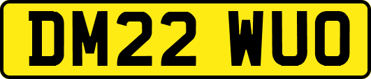 DM22WUO