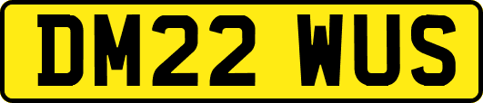 DM22WUS