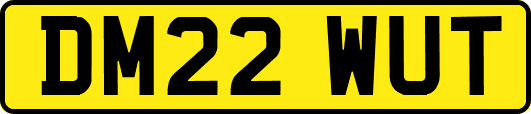 DM22WUT