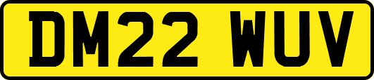 DM22WUV