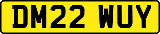 DM22WUY