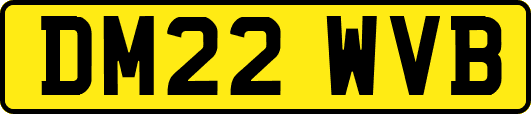 DM22WVB