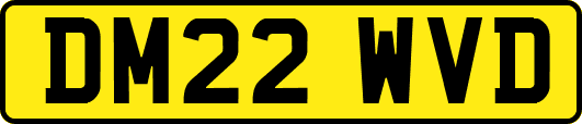DM22WVD