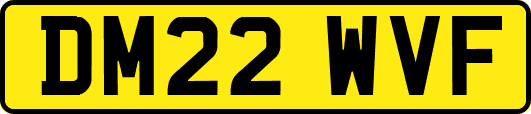DM22WVF