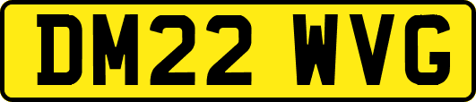DM22WVG