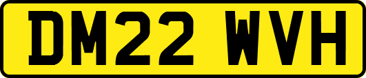 DM22WVH