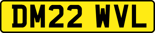 DM22WVL