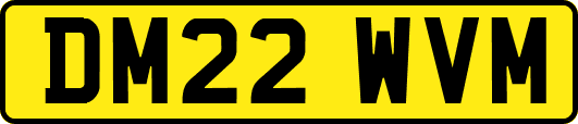 DM22WVM