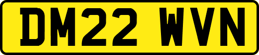 DM22WVN