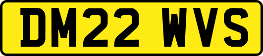 DM22WVS