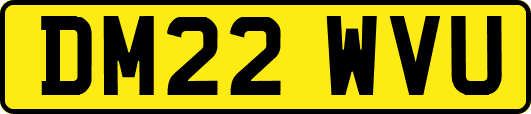 DM22WVU
