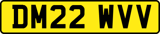 DM22WVV