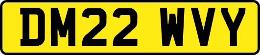 DM22WVY