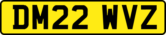 DM22WVZ