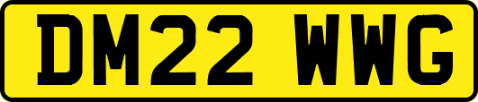 DM22WWG