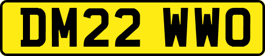 DM22WWO