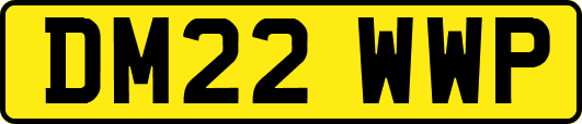 DM22WWP