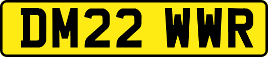 DM22WWR