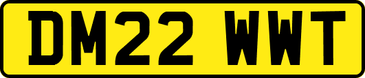 DM22WWT