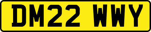 DM22WWY