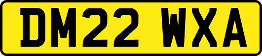 DM22WXA
