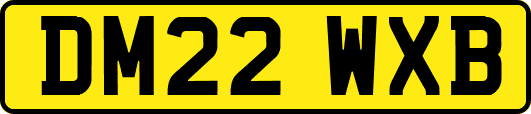 DM22WXB