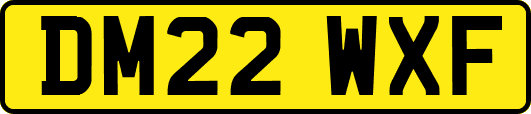 DM22WXF