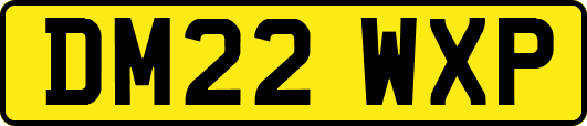 DM22WXP