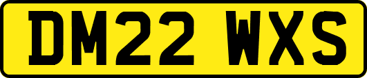DM22WXS