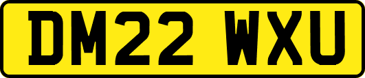 DM22WXU