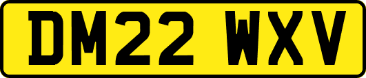 DM22WXV