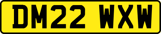 DM22WXW