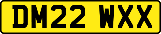 DM22WXX