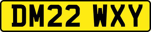 DM22WXY