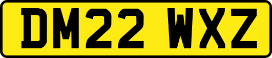 DM22WXZ