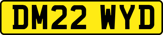 DM22WYD