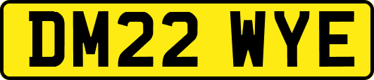 DM22WYE