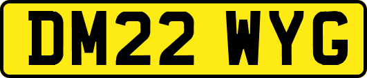 DM22WYG
