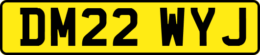 DM22WYJ
