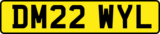DM22WYL