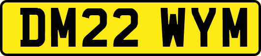 DM22WYM