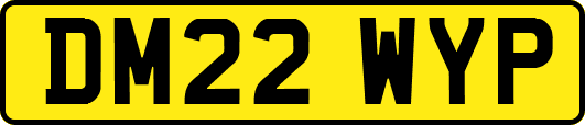 DM22WYP