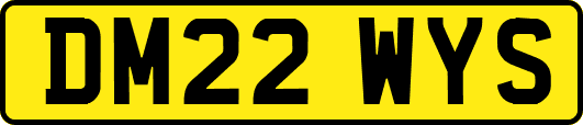 DM22WYS