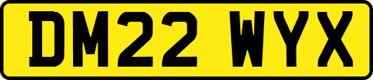 DM22WYX