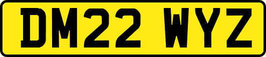 DM22WYZ
