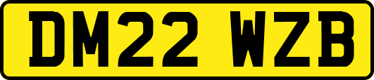 DM22WZB